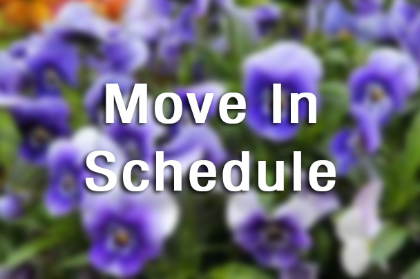 Find your move in time